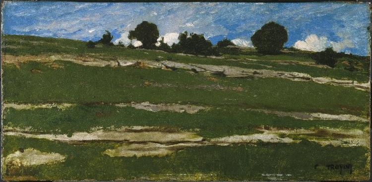constant troyon Hillside with Rocky Outcrops oil painting image